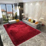 living-room-carpet